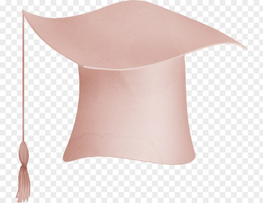 Dr. Pale Pink Cap Angle PNG