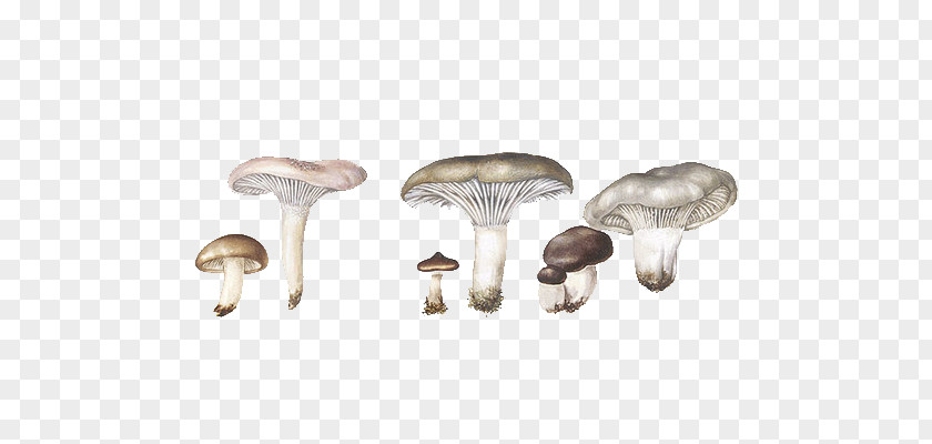 Hand-painted Cartoon Mushrooms Mushroom Hot Pot Umbrella Fungus PNG
