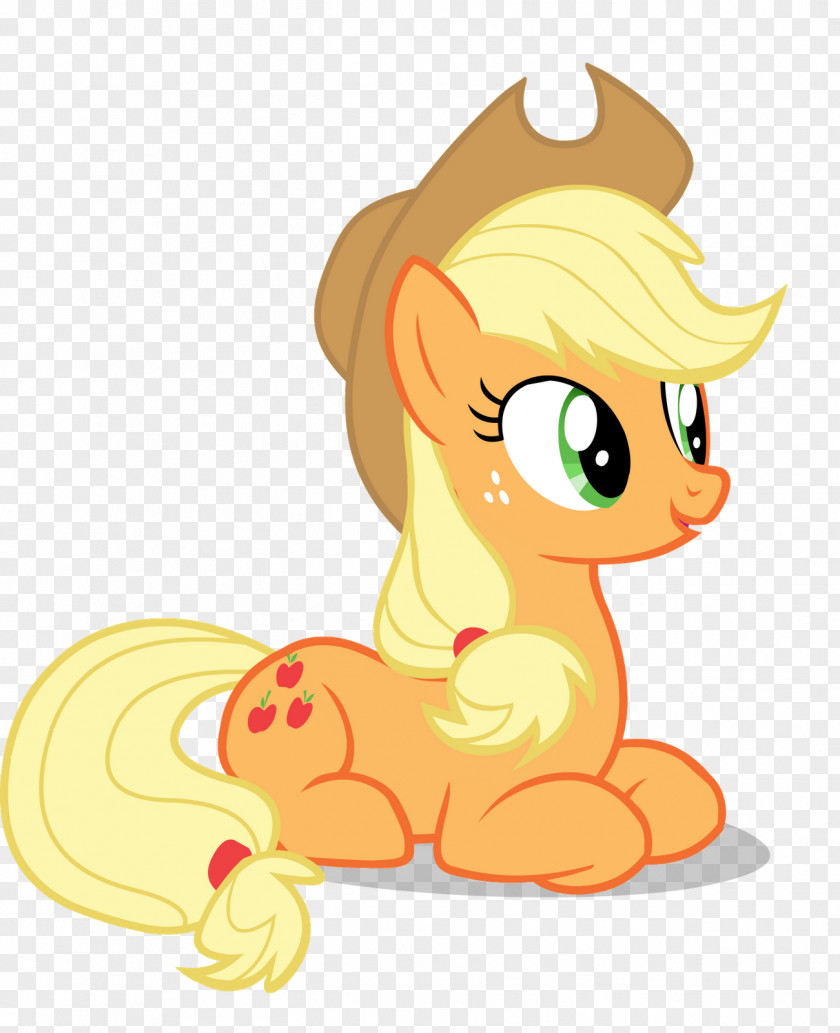 My Little Pony Rainbow Dash Applejack Rarity Princess Celestia PNG