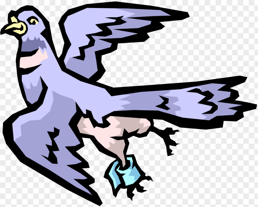 Pigeon Short Story Respect Homing Clip Art PNG