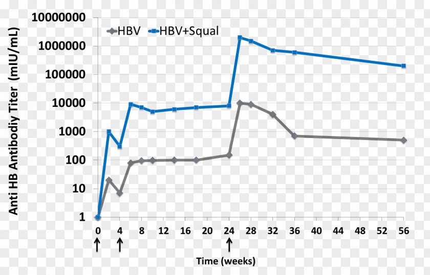 Sterilized Virus Antibody Freund's Adjuvant Squalene Vaccine PNG