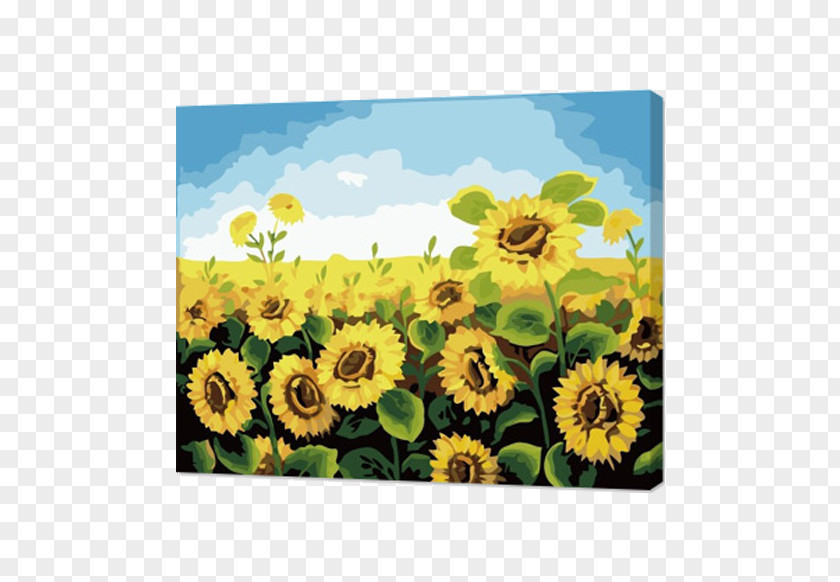 Sunflower Oil Paint By Number Painting Canvas PNG