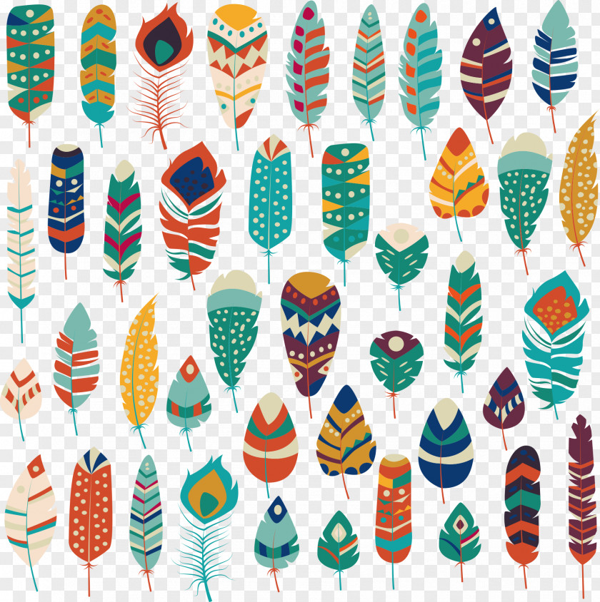Thanksgiving Feathers Feather Stock Photography Illustration PNG