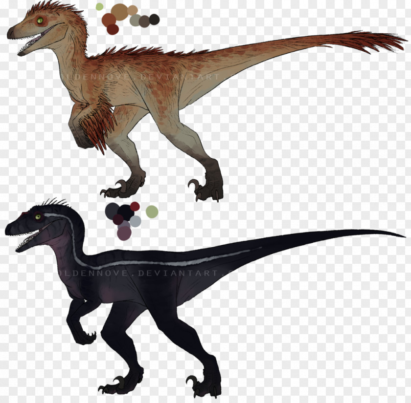 Toothless Velociraptor Dinosaur Tyrannosaurus Mazda Carnotaurus PNG
