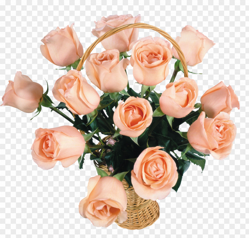 White Roses Cut Flowers Flower Bouquet PNG
