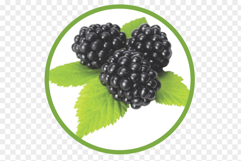 BlackBerry Juice Boysenberry Red Mulberry Superfood Blackberry PNG