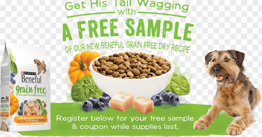 Dog Food Breed Puppy Beneful PNG