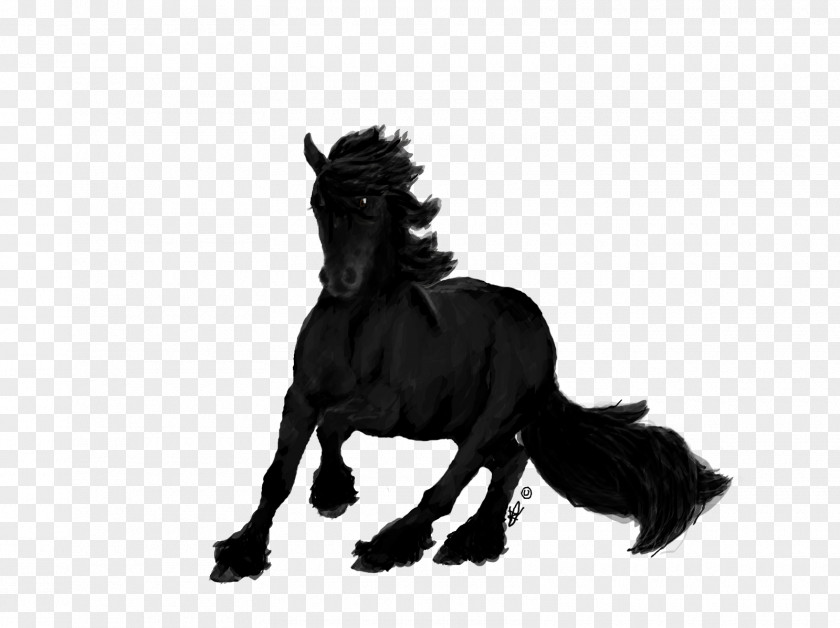 Friesian Horse Mane Mustang Black Forest Stallion PNG