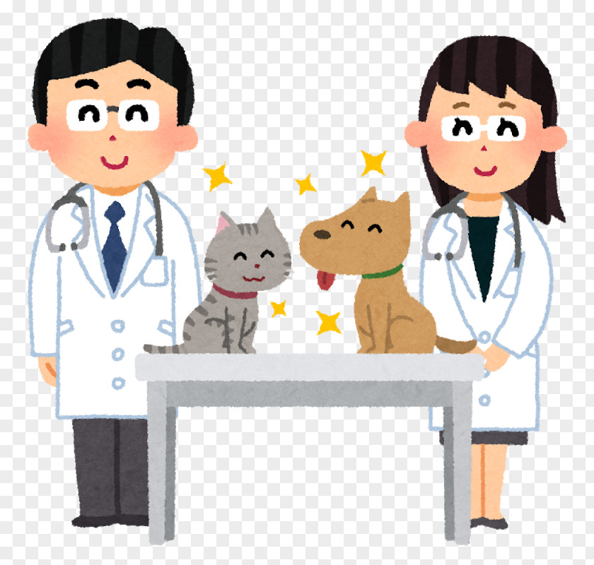 Pet Doctor Hospital Veterinarian Caregiver 診療 Internal Medicine PNG