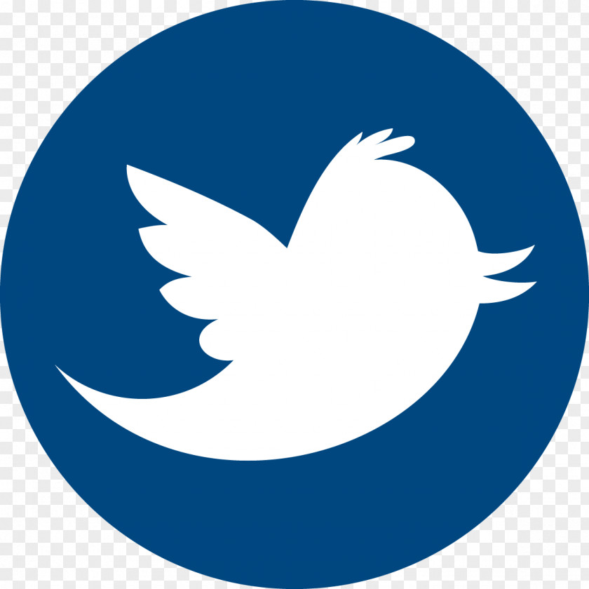 Social Media Marketing Twitter Networking Service PNG