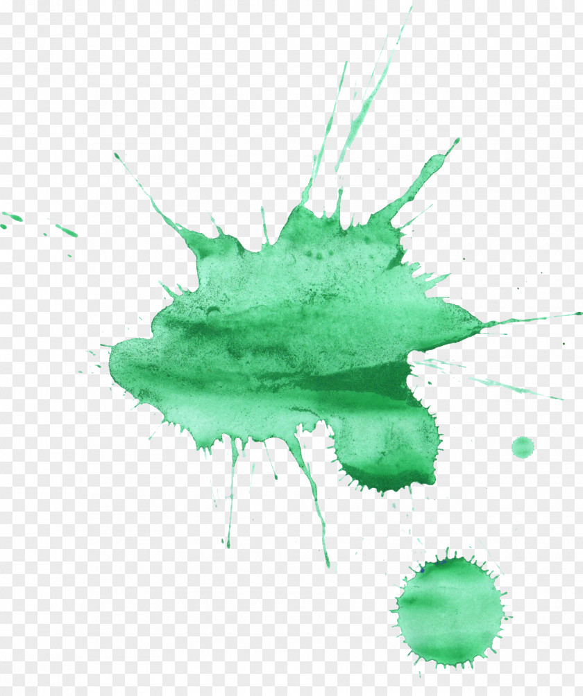 Water Color Watercolor Painting PNG