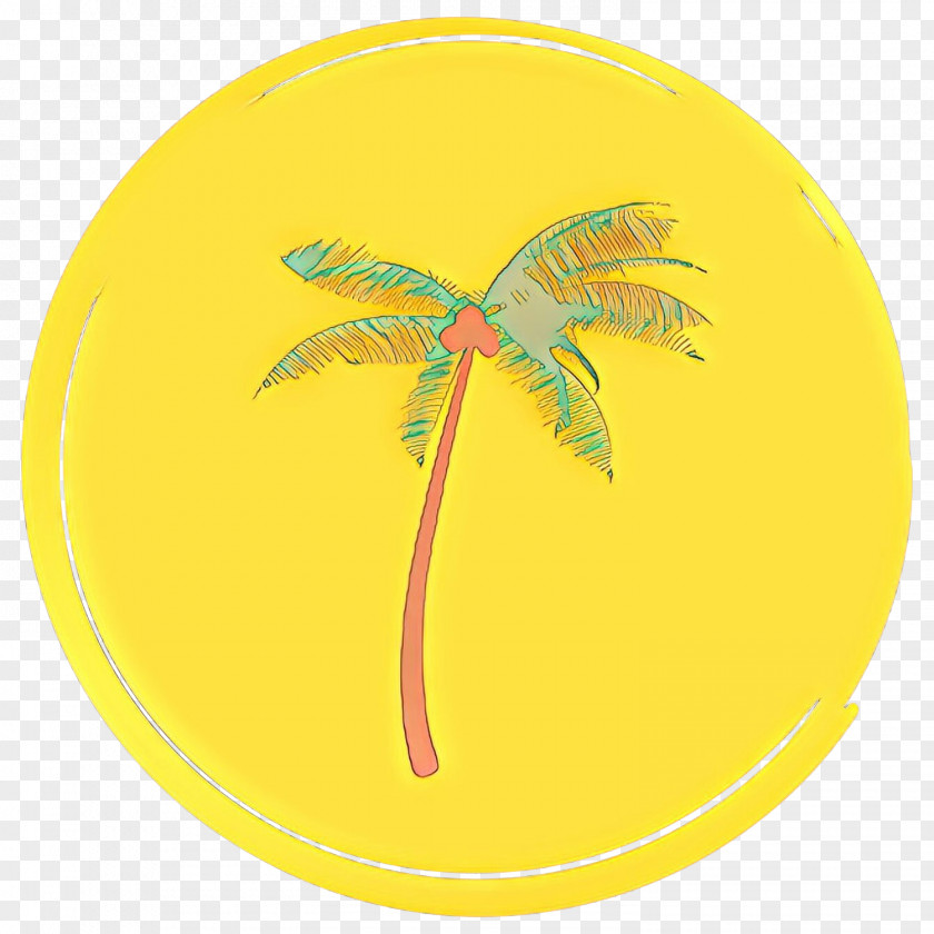 Arecales Plant Palm Tree Background PNG