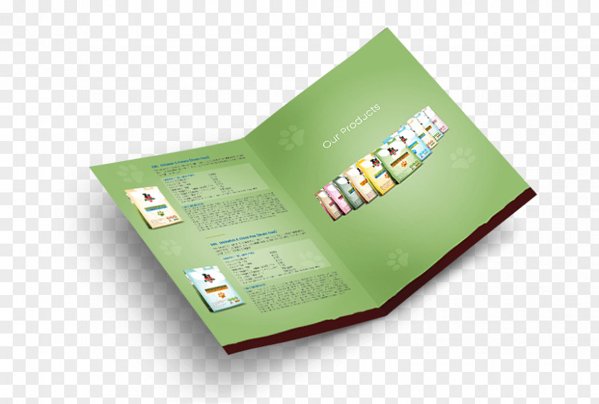 Best Brochure Design Pamphlet Brand Service PNG