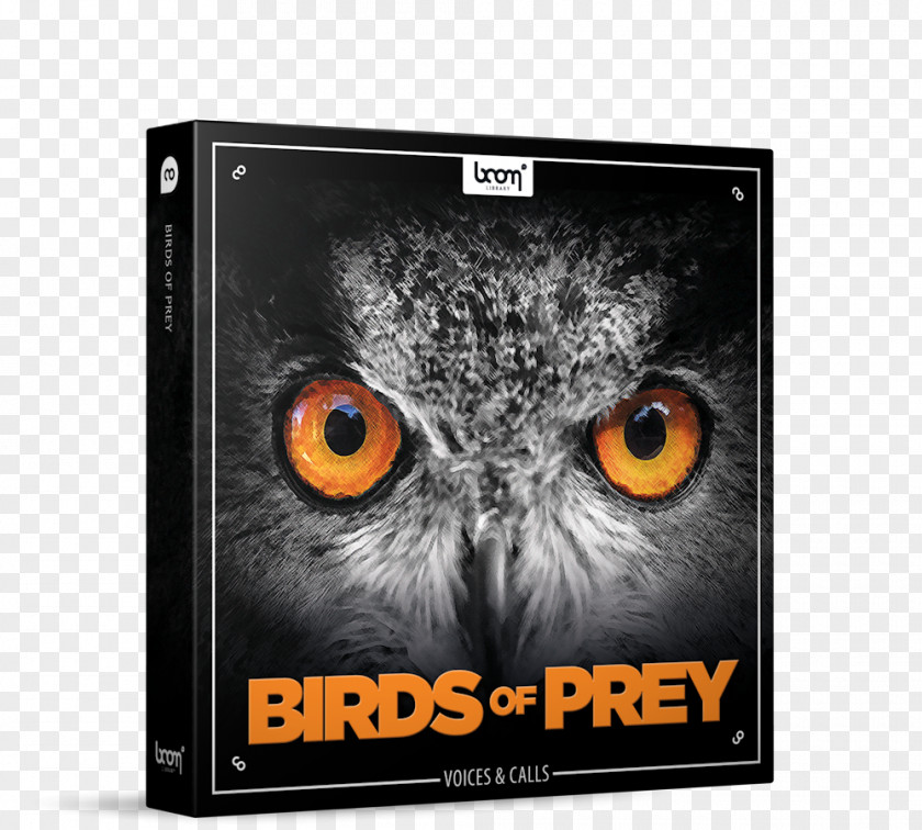 Bird Of Prey Owl Sound Effect PNG