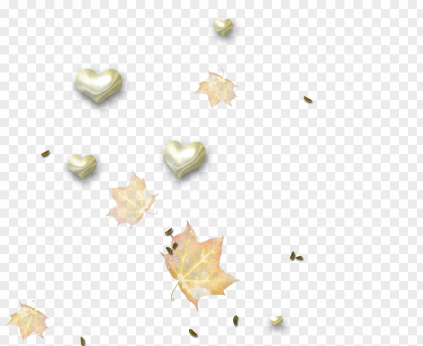 Floating Heart Leaves Leaf Peach Desktop Wallpaper PNG