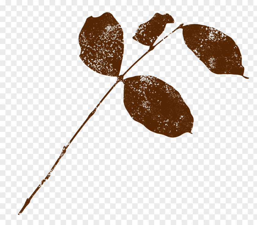 Leaf Brown PNG