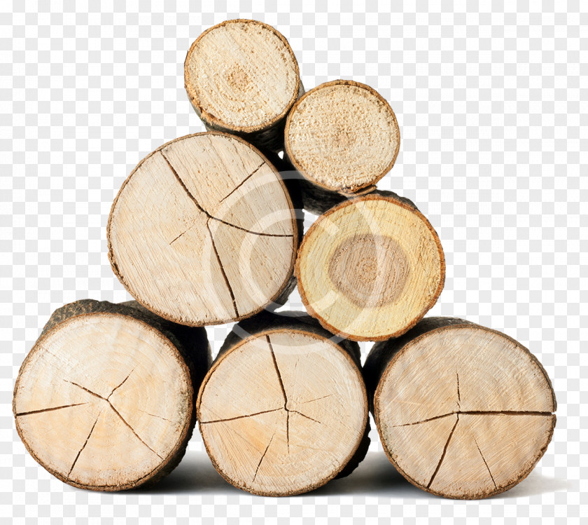Wood Hardwood Lumberjack Pulp PNG