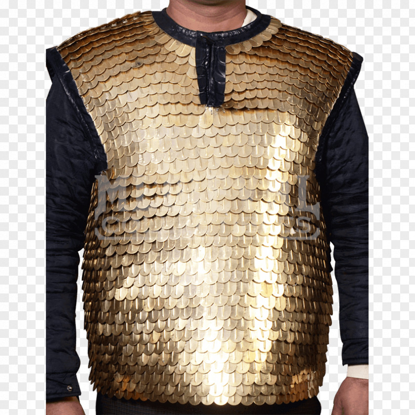 Armour Scale Ancient Rome Lorica Segmentata Squamata PNG