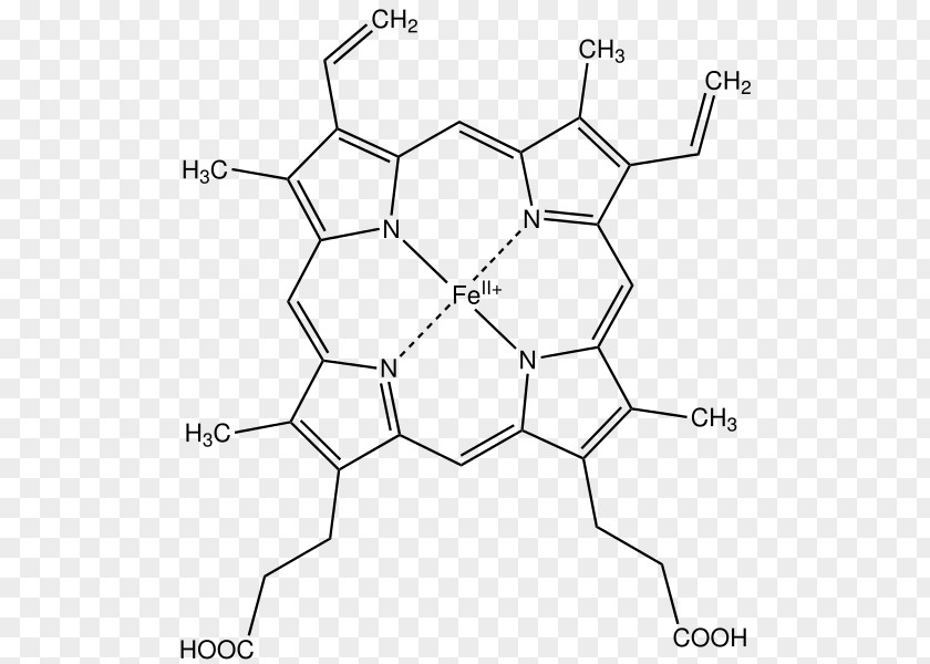 Blood Heme Red Cell Molecule PNG