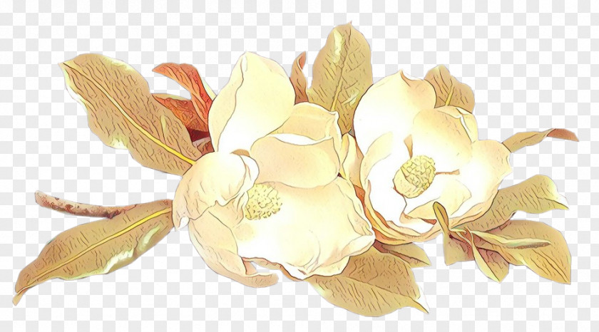 Bouquet Gardenia Cut Flowers Petal Plants PNG