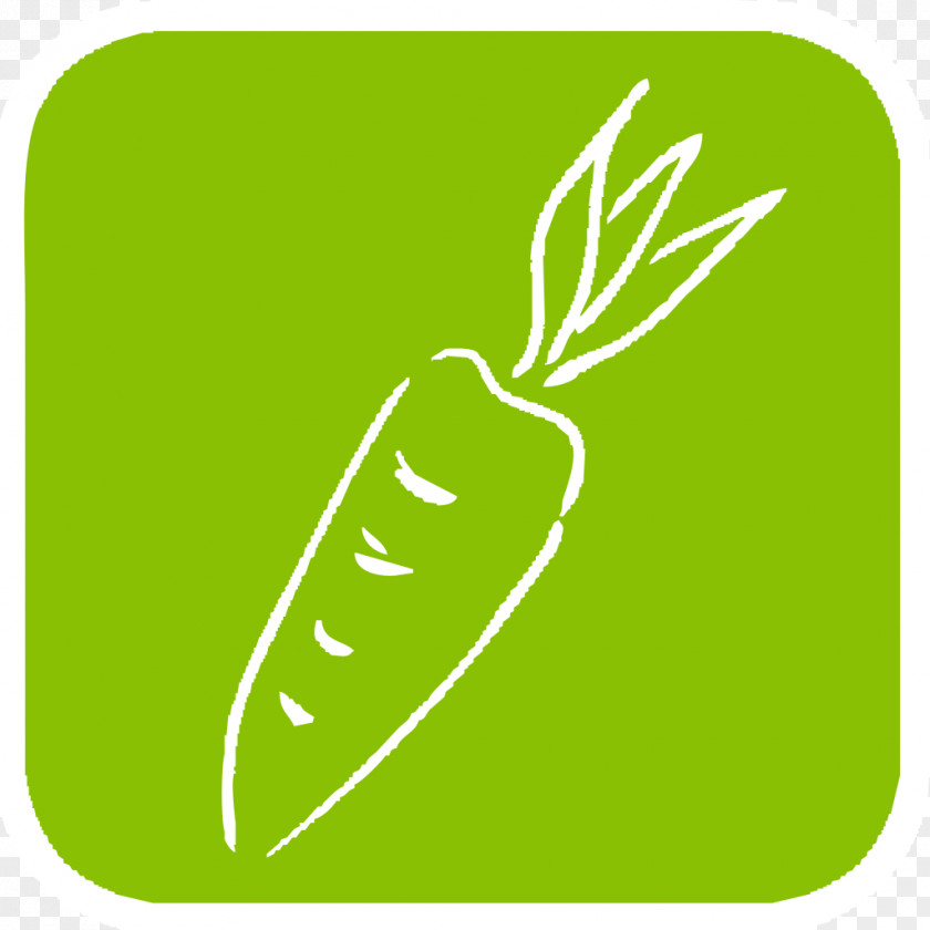 Carrots Logo PNG