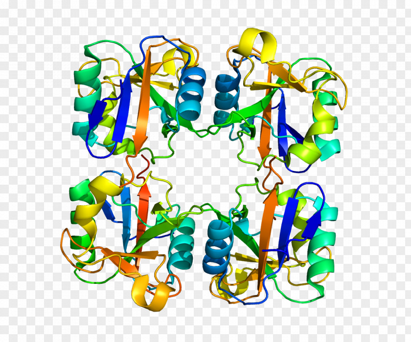 Langerin Protein C-type Lectin Langerhans Cell PNG
