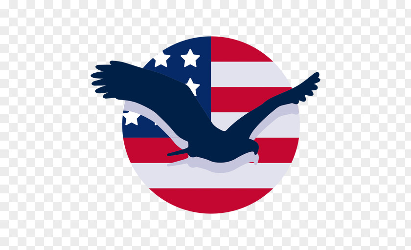 Aguila Design Element Bald Eagle Logo Illustration Clip Art PNG