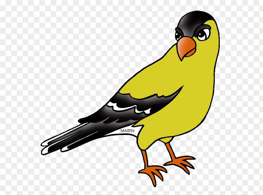 American Goldfinch Cliparts New Jersey European Bird Clip Art PNG