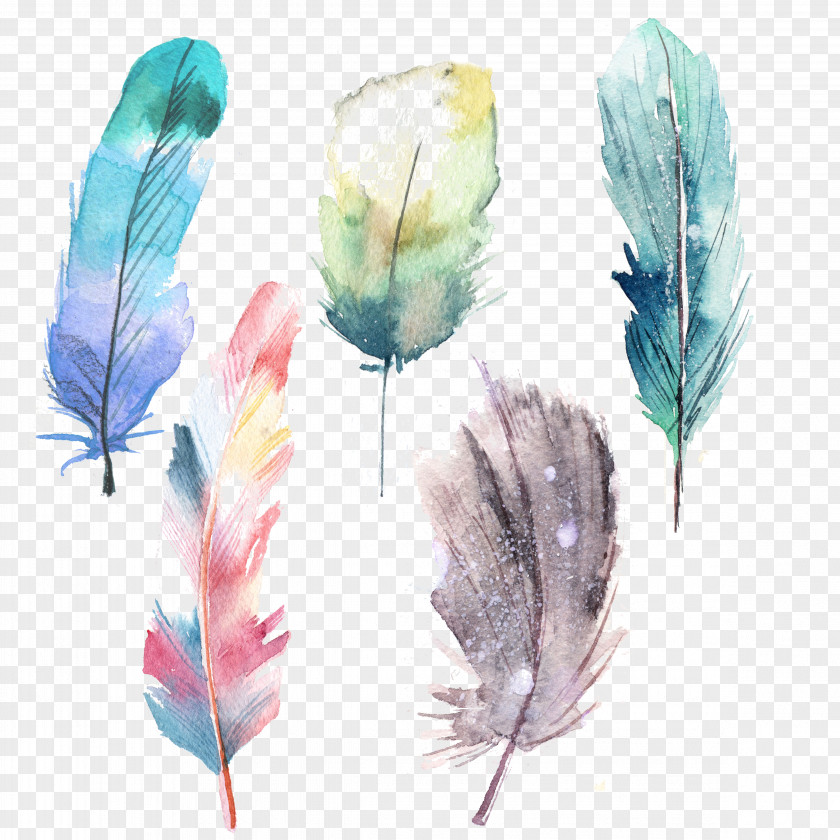 Feather Watercolor Painting Blue PNG