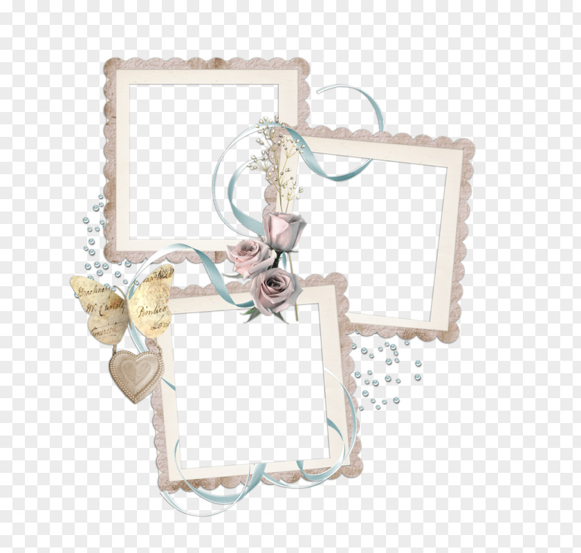 Picture Frames Photography PNG