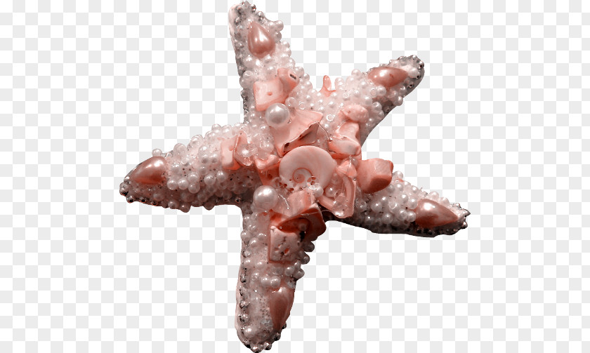 Pink Starfish Decorations Download PNG