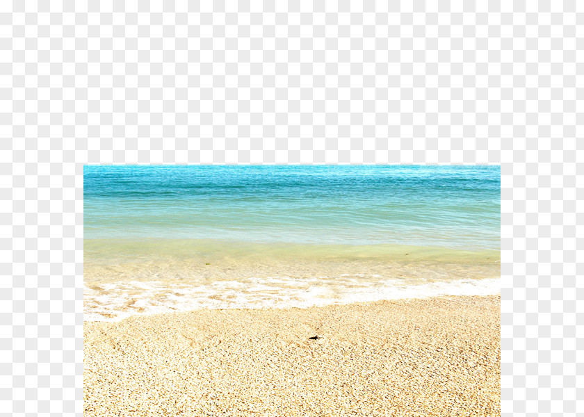 Seaside Beach Sea Summer Vacation Turquoise PNG