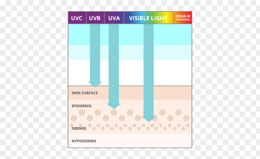 UVB Sunscreen Sun Science: Formulating For Protection Factor De Protección Solar Skin Ageing PNG