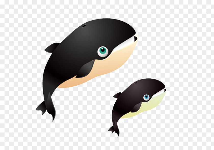 Whale Photos Shark Right Whales Euclidean Vector PNG