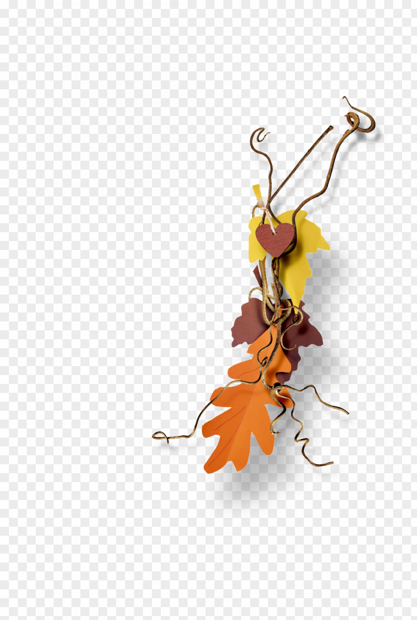 Ay Image Adobe Photoshop Autumn Leaf PNG