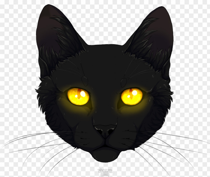 Black Cat Head Kitten DeviantArt Domestic Short-haired Whiskers PNG