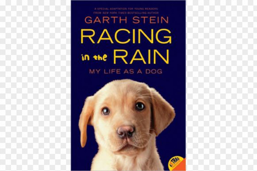 Book The Art Of Racing In Rain Rain: My Life As A Dog Enzo Races Rain! And Christmas Tree Hunt! Sudden Light PNG