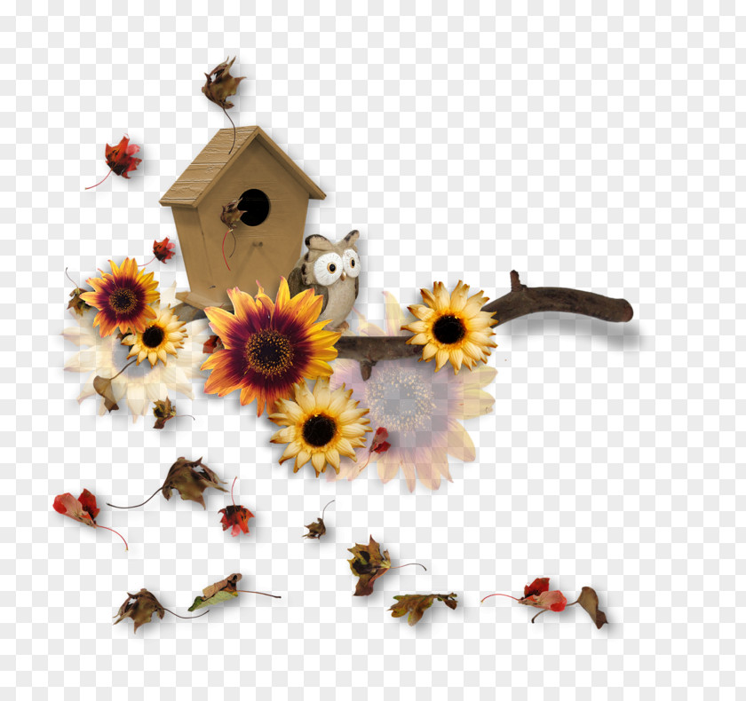 Hand-painted Bird House Nest Box PNG