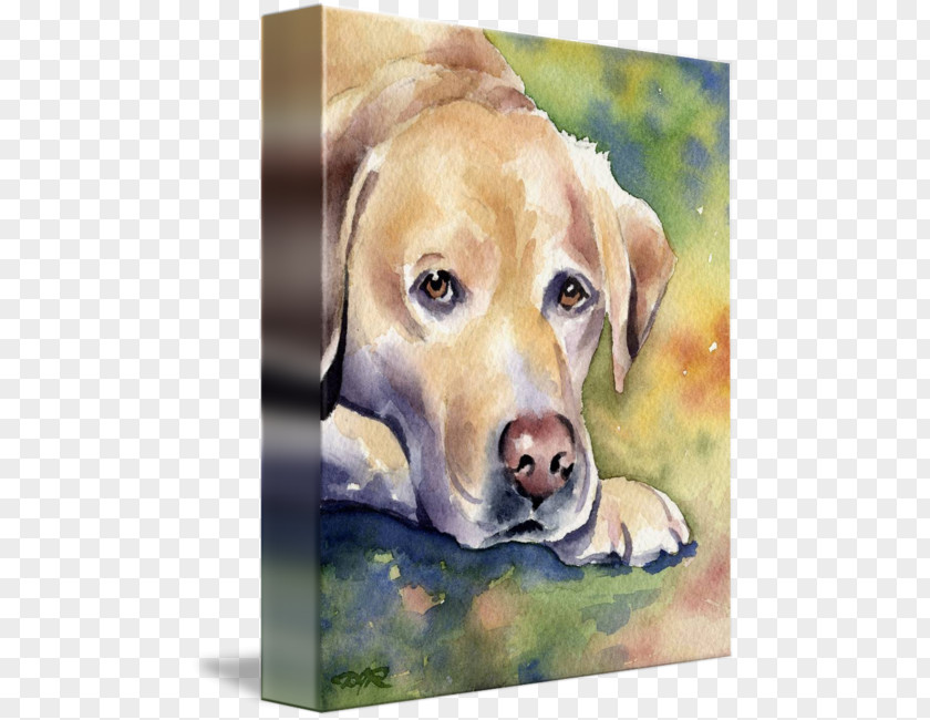 Labrador Dog Retriever Puppy Breed Watercolor Painting PNG