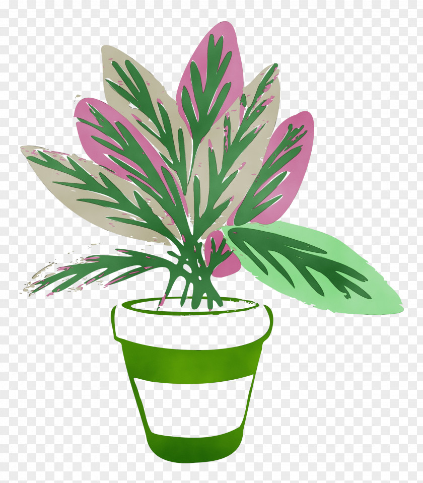Leaf Flower Flowerpot Plant Biology PNG