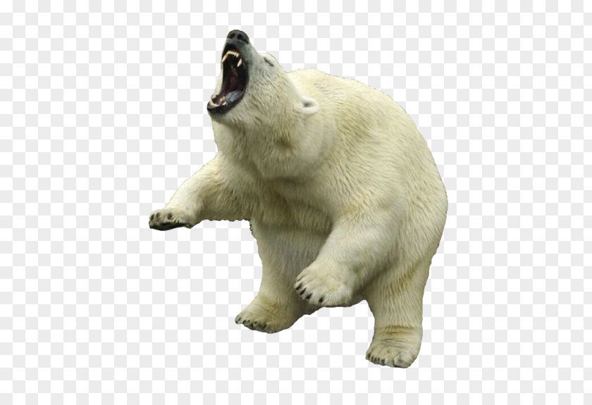 Polar Bear Clipart PNG