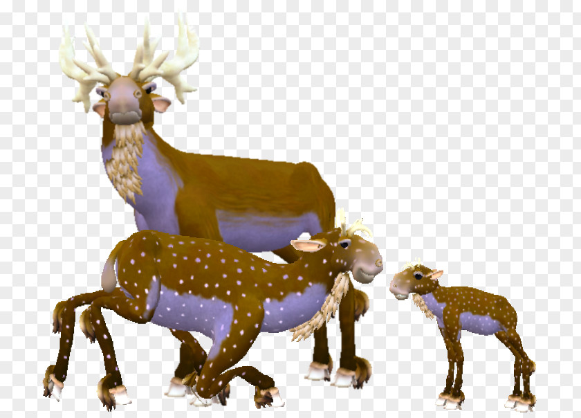 Reindeer Antelope Terrestrial Animal Wildlife PNG