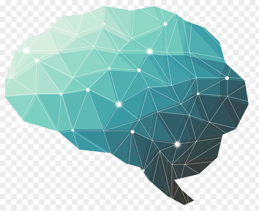 Brain Human Polygon Neuroscience Technology PNG