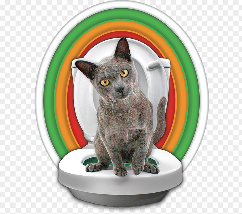 Cat Training Litter Trays Kitten Toilet PNG