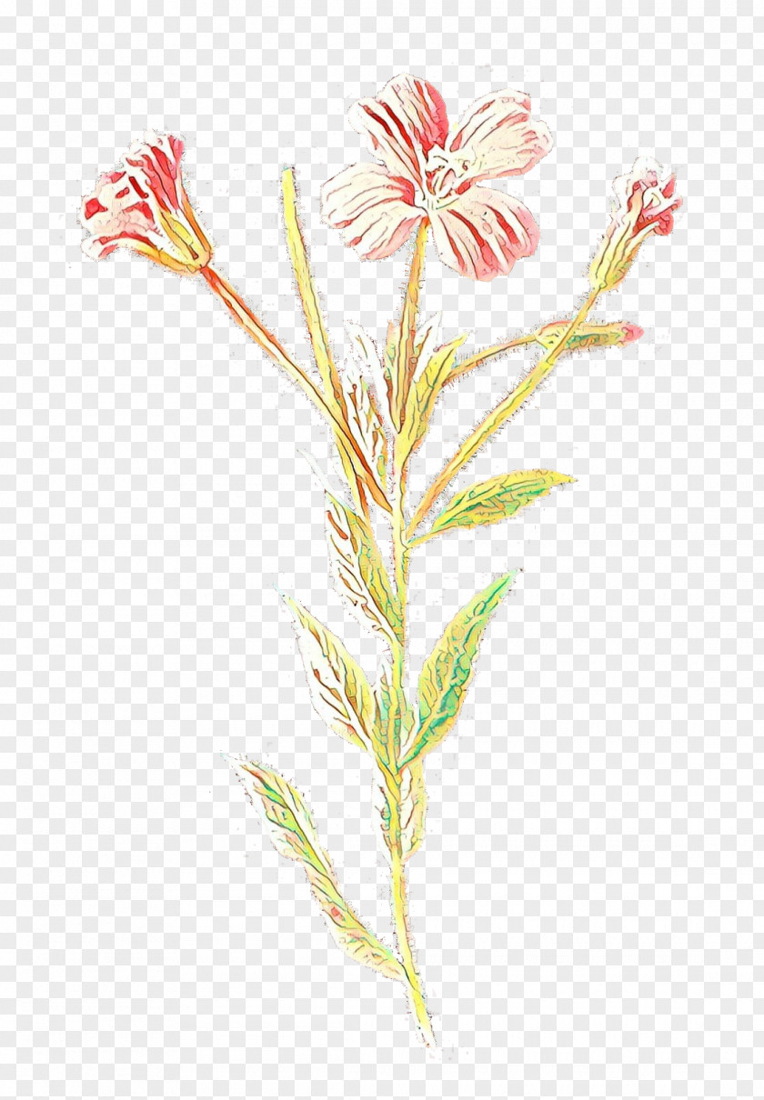 Clip Art Drawing Botanical Illustration Plants PNG