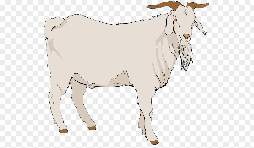 Cliparts Baby Goat Boer Anglo-Nubian Pygmy Nigerian Dwarf Clip Art PNG