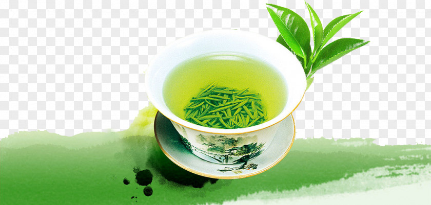 Green Tea Yum Cha Tieguanyin Longjing PNG