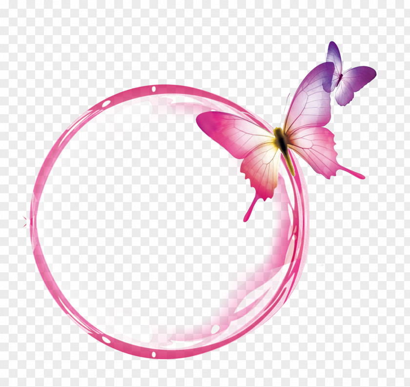 Pollinator Butterfly Pink Petal Plant Flower PNG