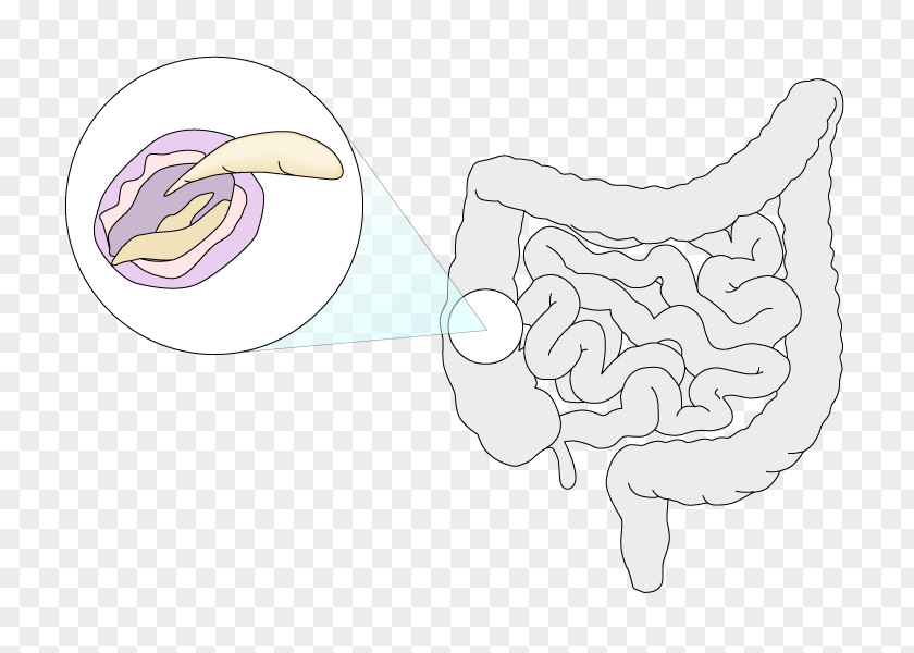 Giardia Thumb Jaw PNG