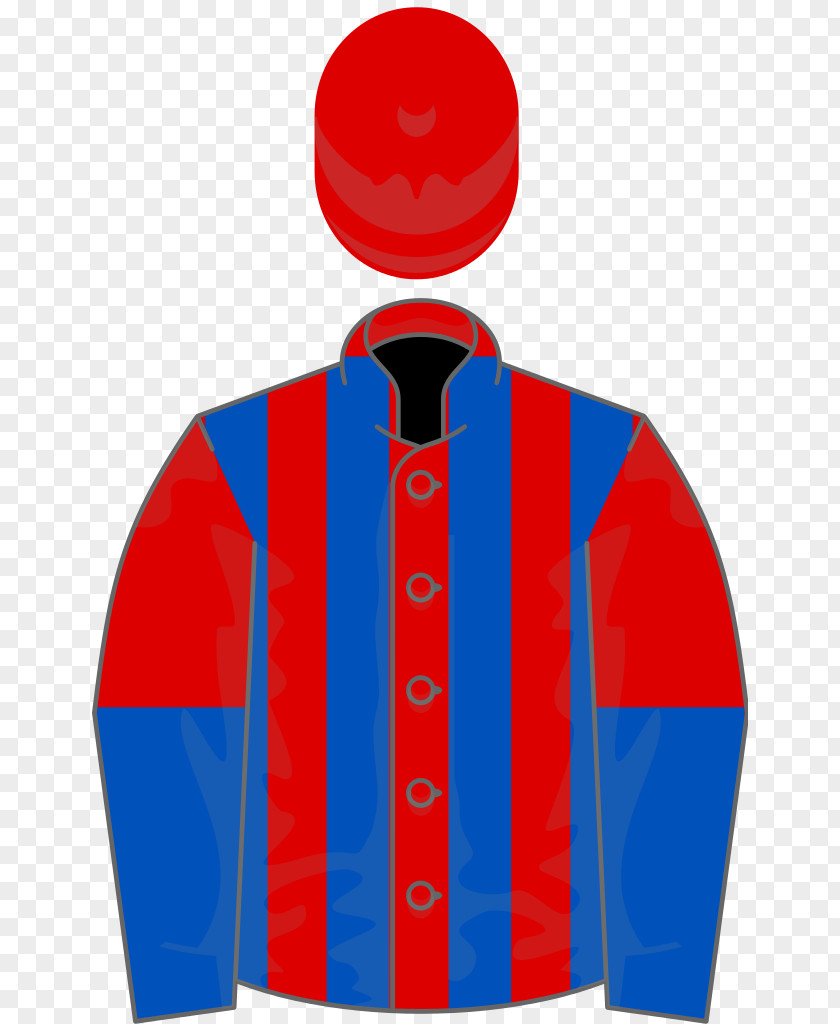Horse Racing Betfair Chase Clip Art PNG